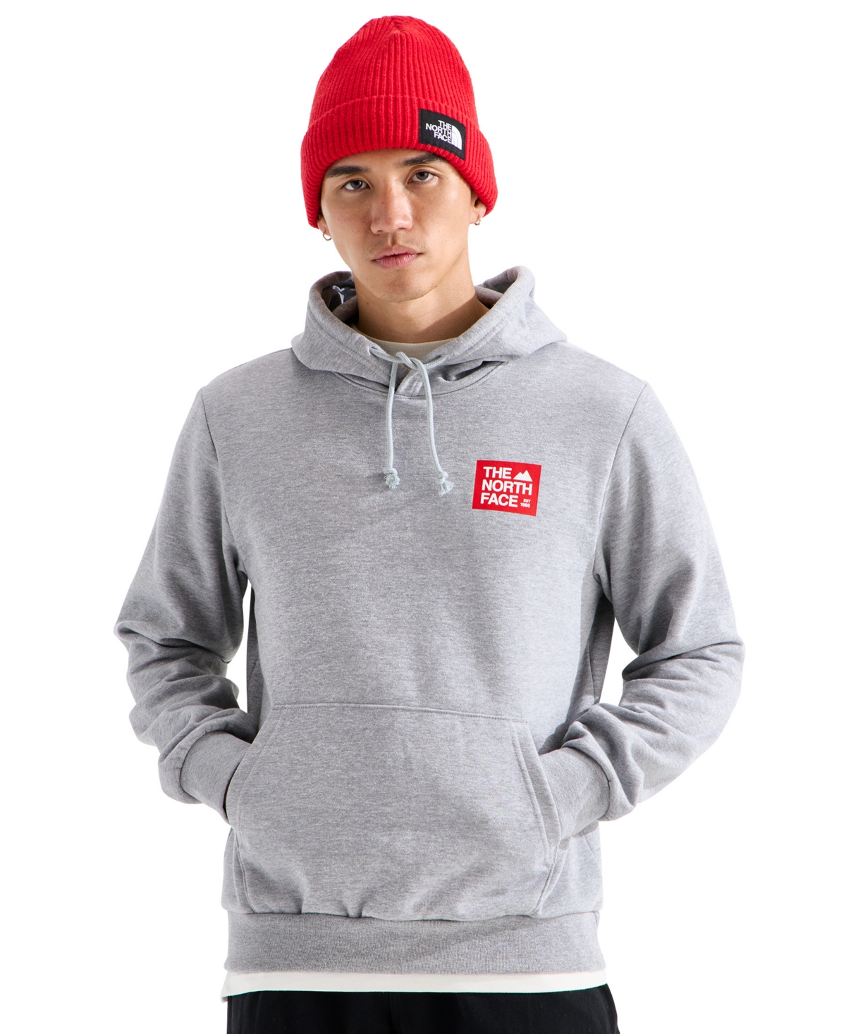 The North Face Men's Evolution Tnf Peak Hoodie - Pale Gray Heather