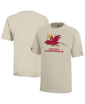 Big Boys and Girls Disney x Oatmeal Arizona Cardinals Iago T-Shirt