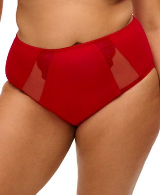 Plus Size Brianna Full Coverage Brief