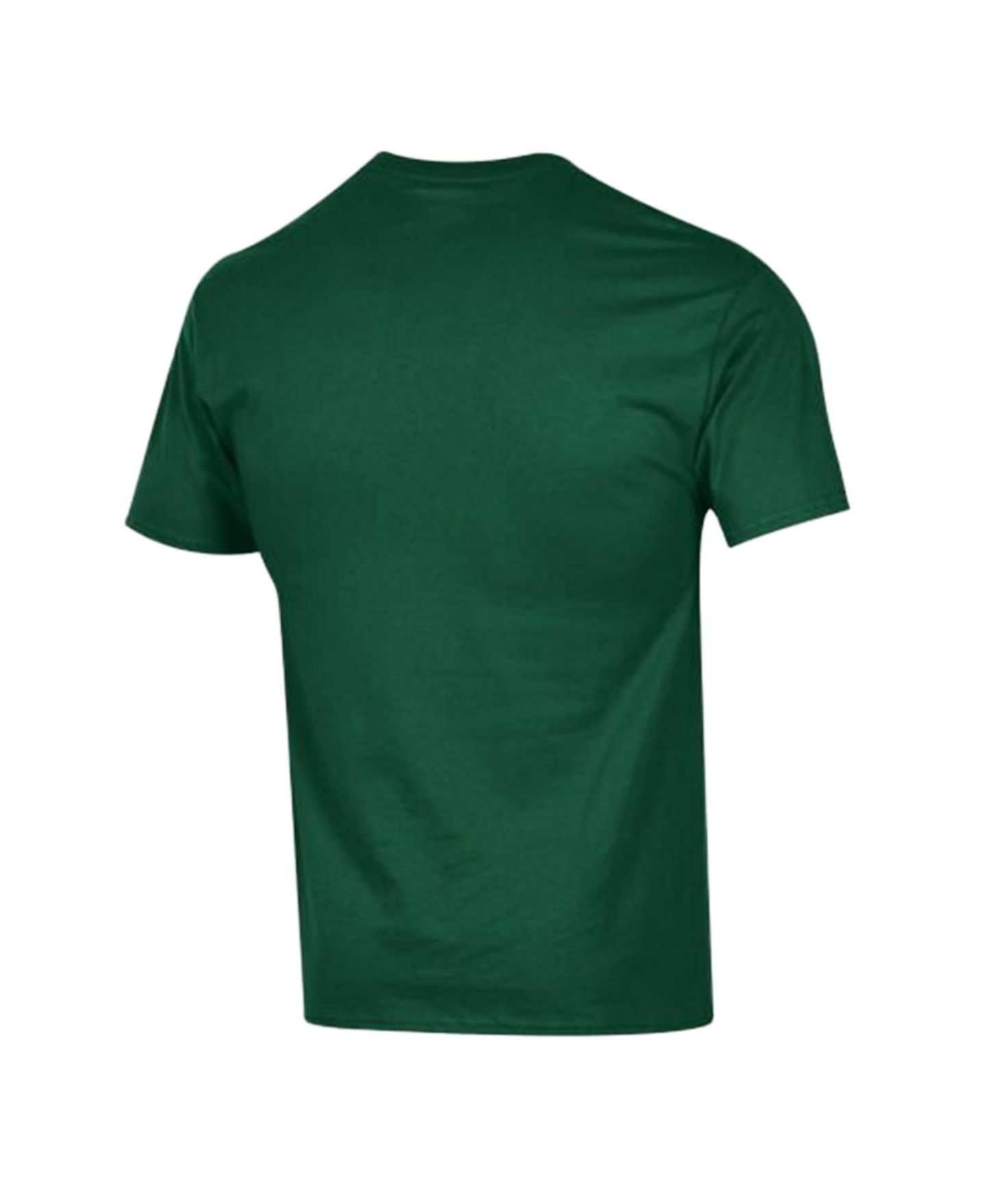 Мужская футболка Champion Green Miami Hurricanes Americana 250 Years of Freedom Tonal — фото 3
