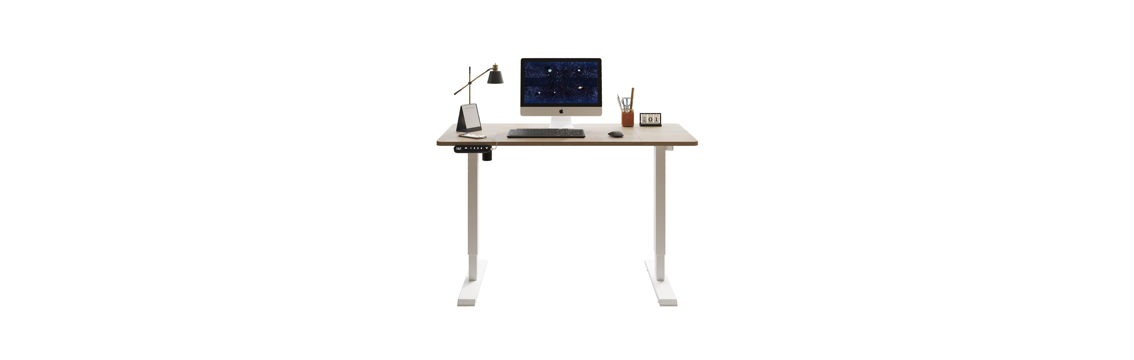 Boyel Living 48"x24" Electric Standing Desk Height Adjustable for Home and Office Computer Table Gaming Modern Lift-up