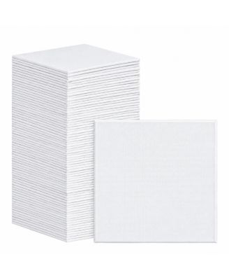 Pre Primed Blank Flat Canvas Panels Bulk Pack Art Supplies for Artists