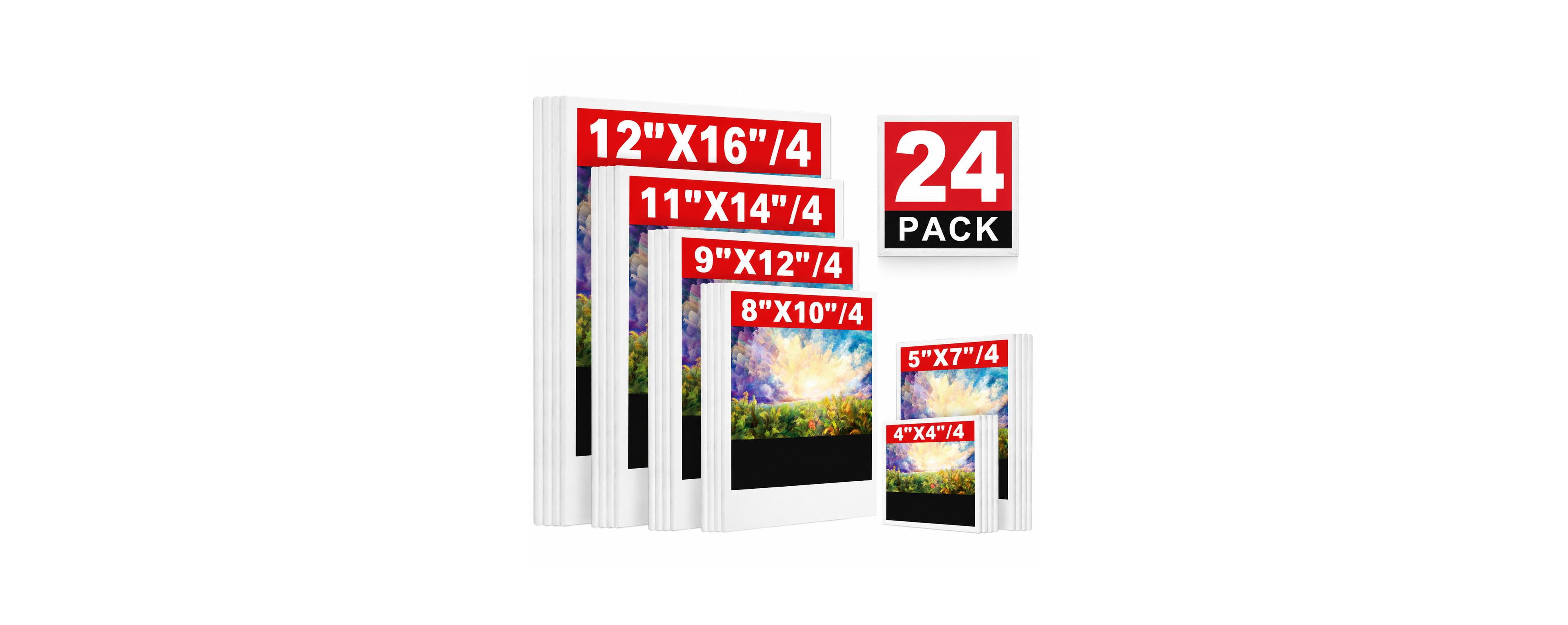 Lowking 24 Pack Blank Painting Canvas Assorted Sizes for All Skill Levels Art Projects