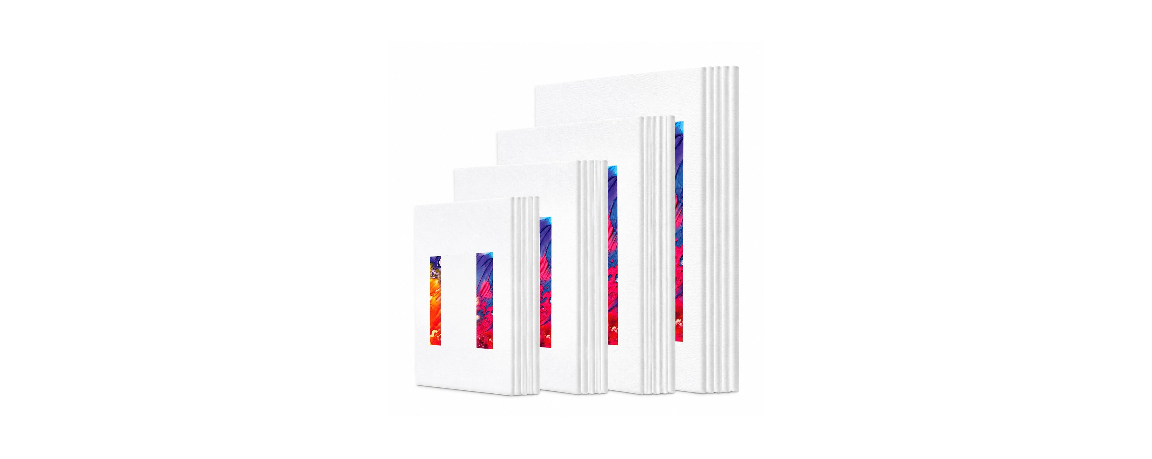 Lowking 32 pack Mixed Bulk Primed Canvas Art Supplies for All Artists 