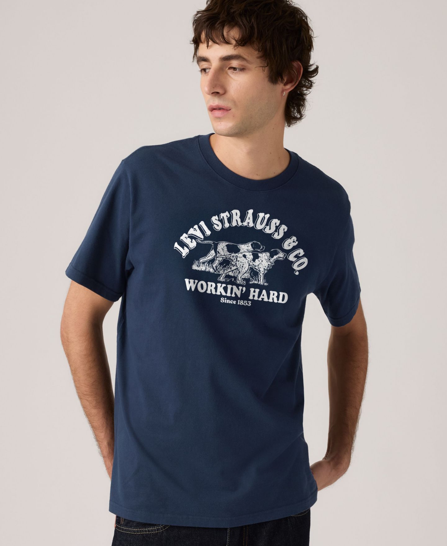 Мужская футболка Levi's Graphic Regular-Fit, цвет: Naval Academy — фото 2