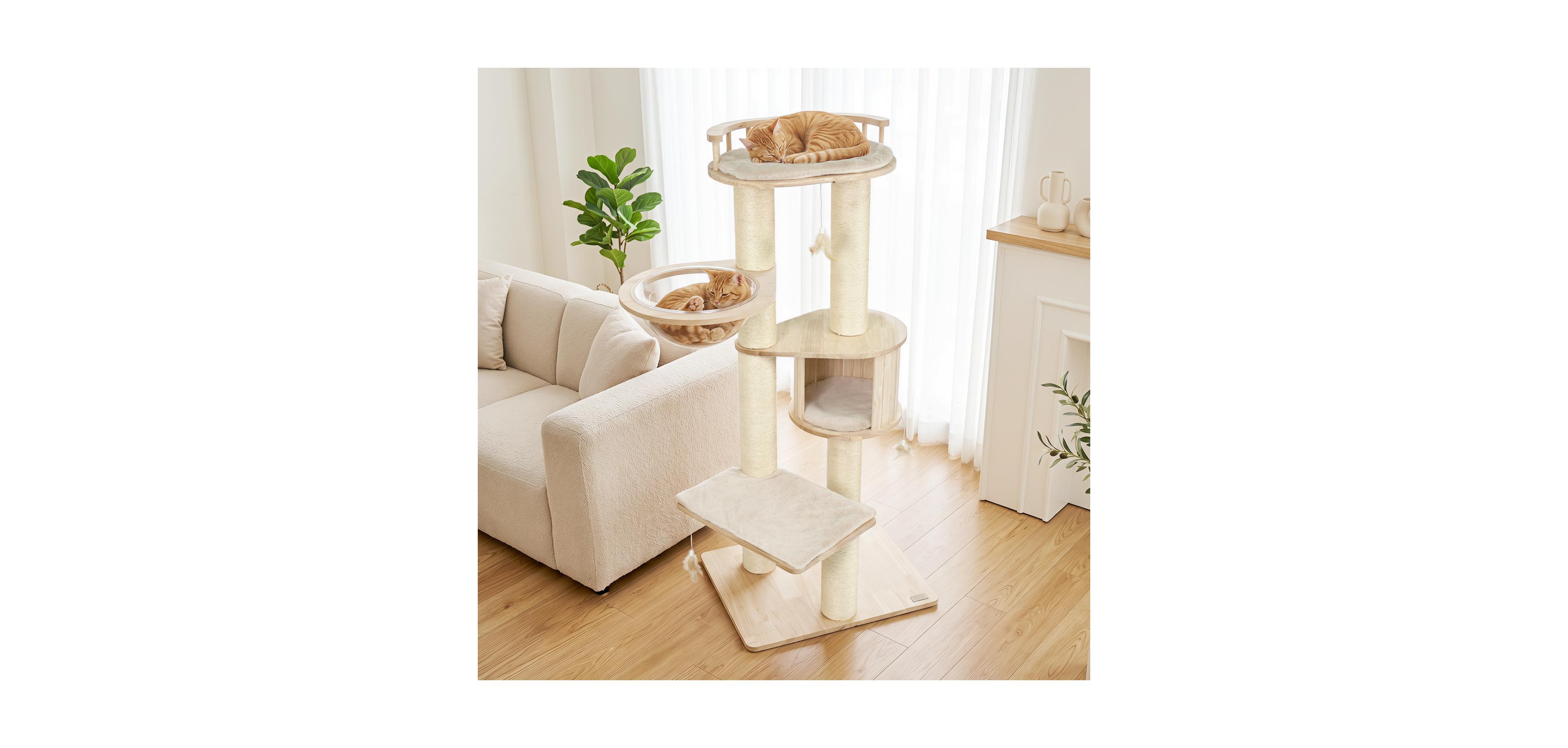 Zeny Cat Tree for Kittens with Top Perch, Condo and Feather Toys