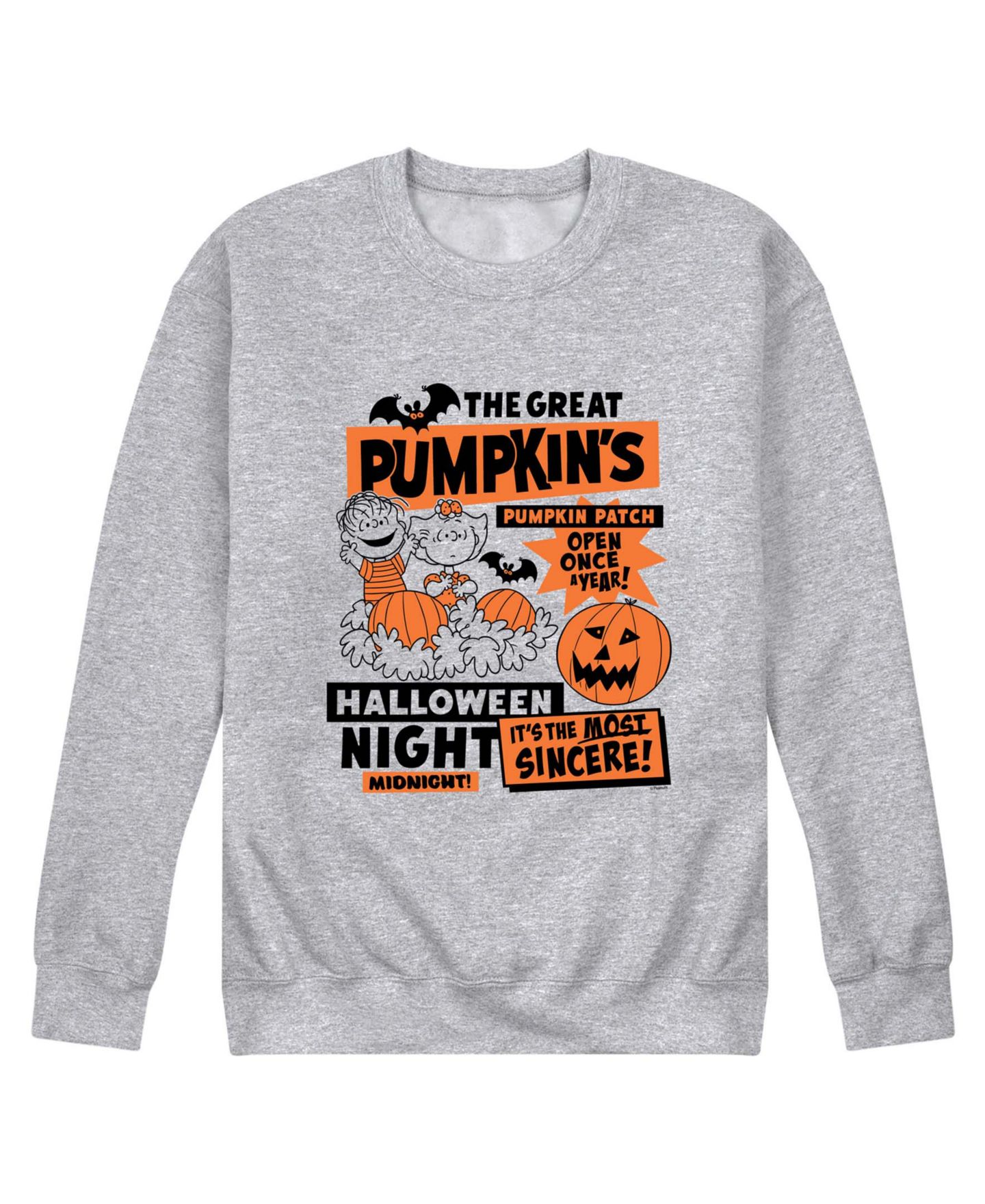 Мужская толстовка AIRWAVES The Great Pumpkins Pumpkin Patch Linus and Sally Graphic, цвет: Меланжевый — фото 1