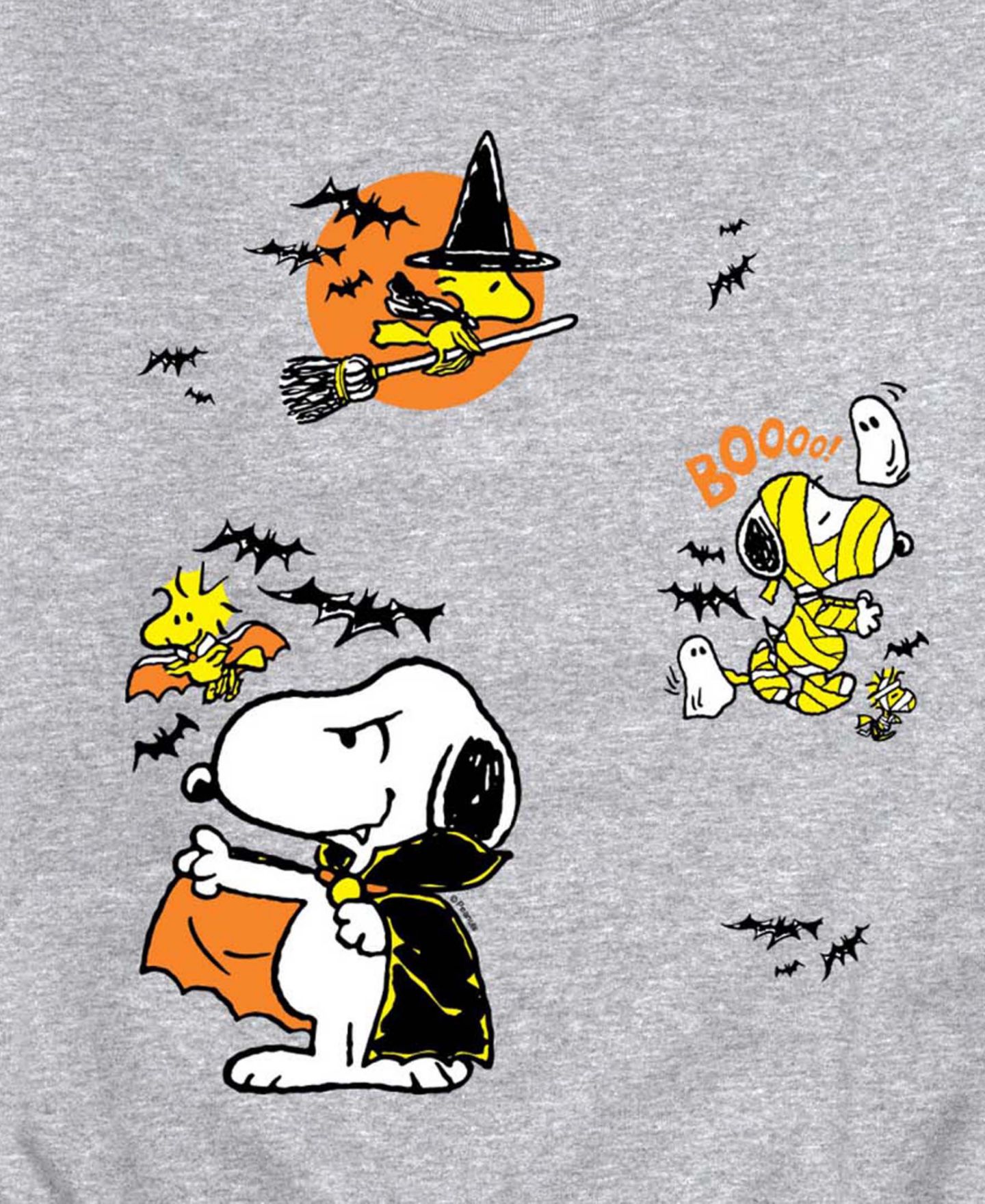 Мужская толстовка AIRWAVES Snoopy & Woodstock Halloween Graphic, цвет: Меланжевый — фото 3