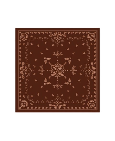 Женский шарф Jessie Zhao New York Paisley Silk, цвет: Красный
