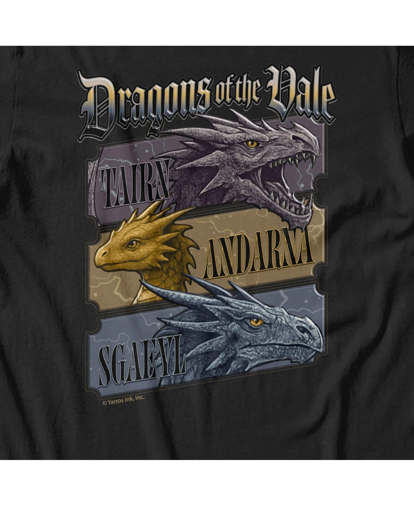 Мужские футболки Fourth Wing Tairn Andarna Sgaeyl Dragon Trio Graphic, цвет: Чёрный — фото 3