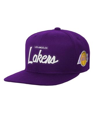 Big Boys' and Girls' Purple Los Angeles Lakers Head Coach Flat Brim Snapback Hat