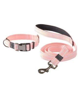 Ranger The Reflective Leash and Collar Set