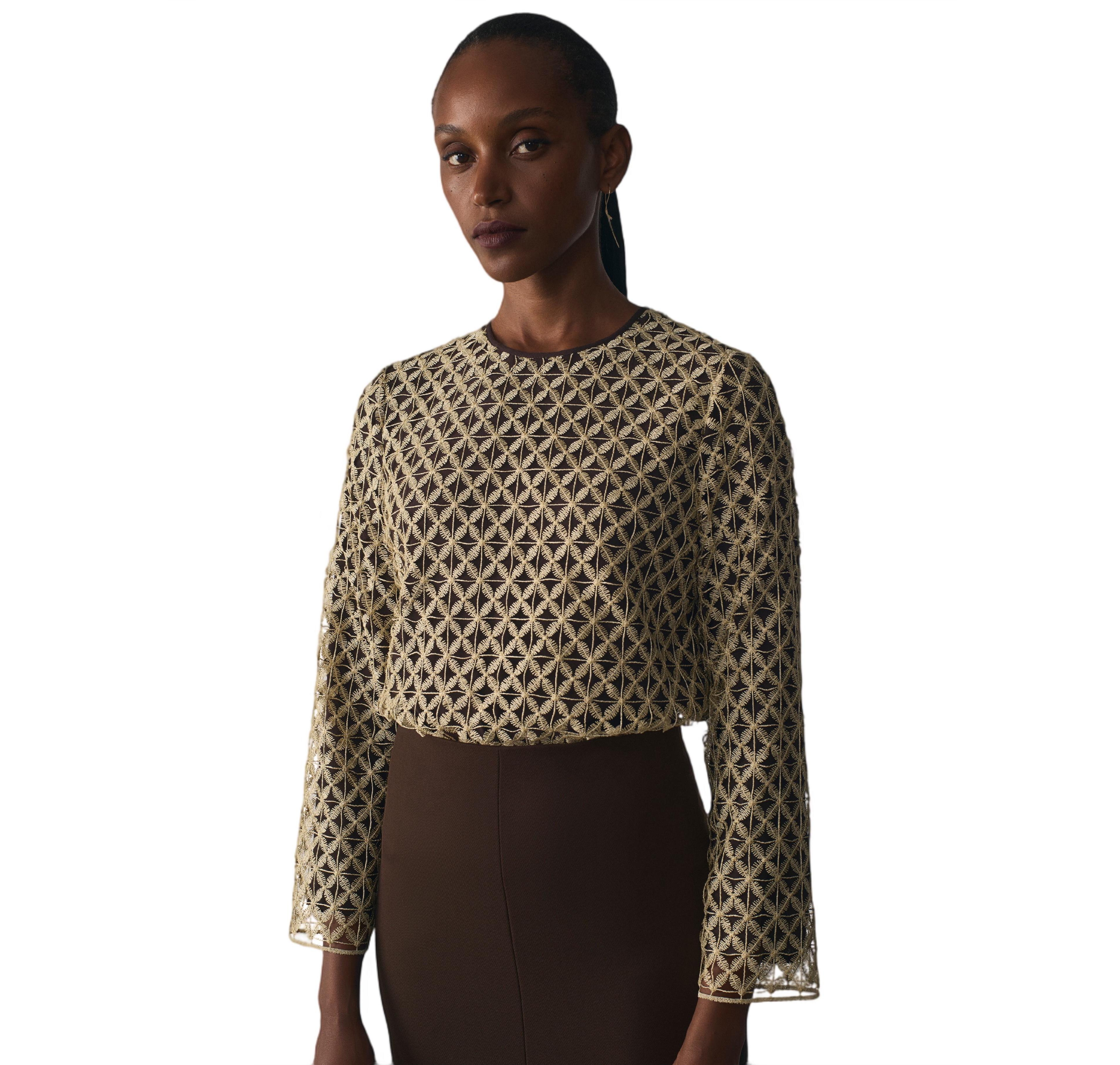 The Fold Women's Meridian Sheer Long-Sleeve Lace Blouse