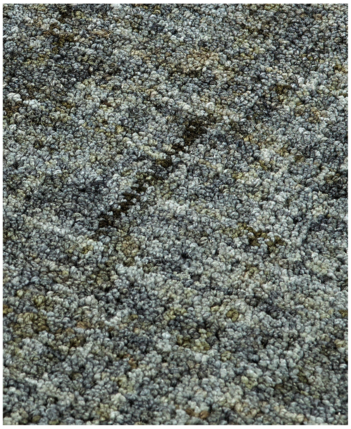 Dalyn Calisa CS5 3'6" x 5'6" Area Rug