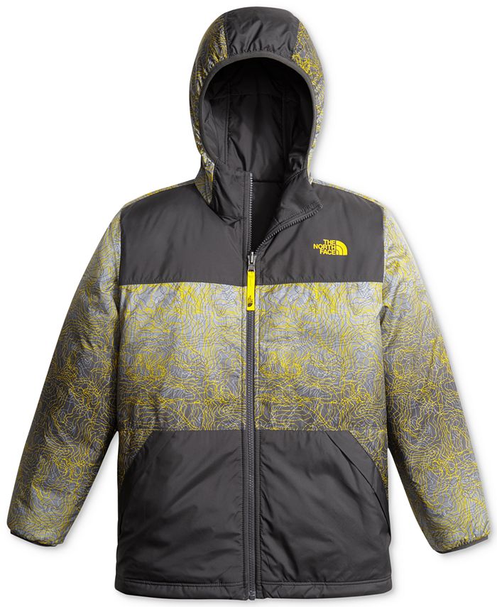 The North Face True or False Reversible Fleece Jacket Little Boys