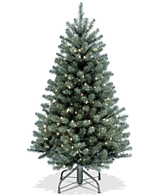 4.5' North Valley Blue Spruce Tree With 300 Clear Lights 
