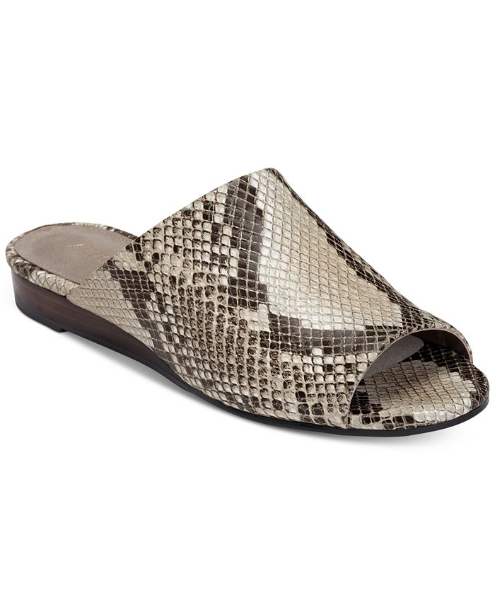 Aerosoles bitmap top