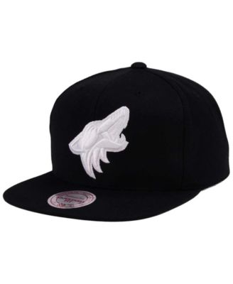 Mitchell & Ness - Respect Snapback Cap