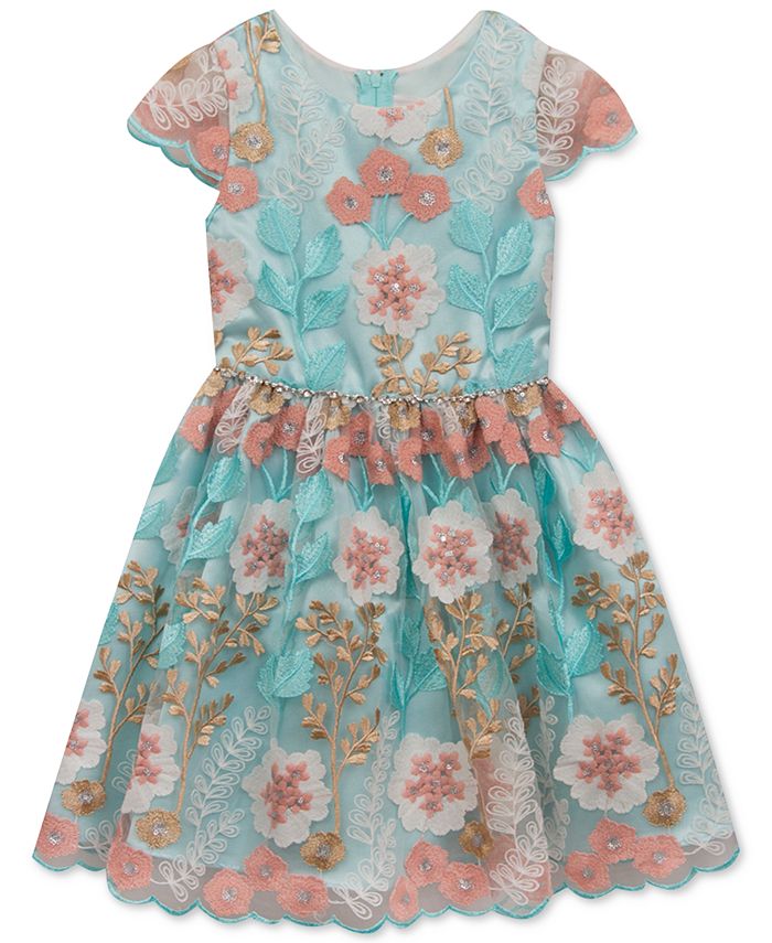 Rare Editions Embroidered Floral Party Dress, Toddler Girls, Created ...