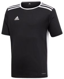 Adidas Big Boys Entrada Jersey