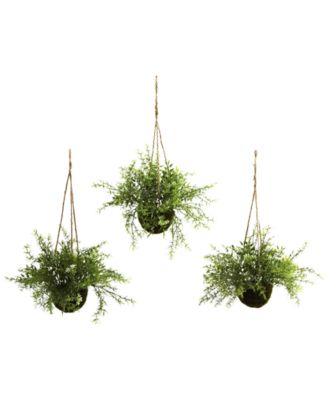 Nearly Natural - 3-Pc. Mini Ruscus Sedum & Sperengeri Hanging Basket Set