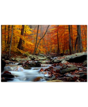 Trademark Global Cateyes 'ultimate Truth' Canvas Wall Art, 30" X 47"