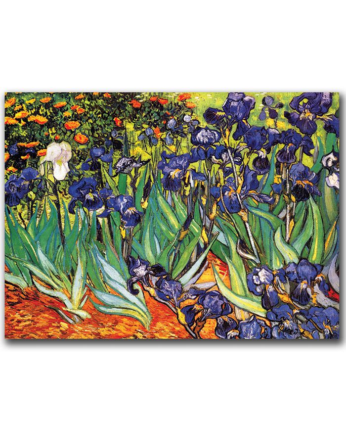 Trademark Global - Vincent van Gogh Irises at Saint-Remy 35" x 47" Canvas Art Print