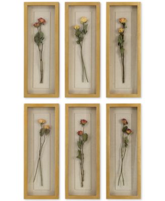 Uttermost Rosalie 6-Pc. Long Stem Shadow Box Wall Art Set 