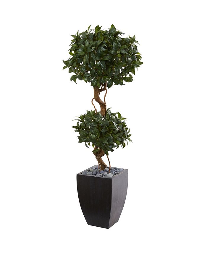 Nearly Natural - 4.5' Sweet Bay Double Topiary Artificial Tree in Black-Washed Planter
