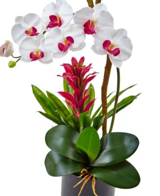 Orchid & Bromeliad Artificial Arrangement in Glossy Black Cylinder Vase