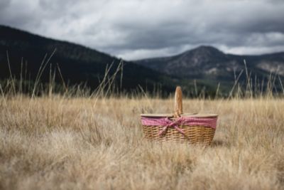 Country Picnic Basket