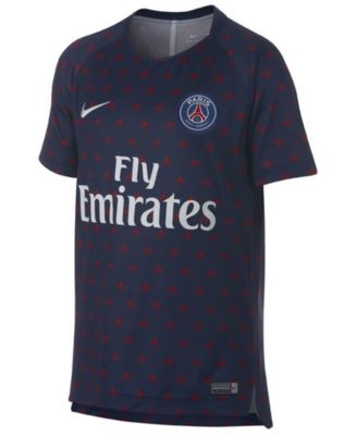 Paris Saint-Germain Club Team Dry Squad 