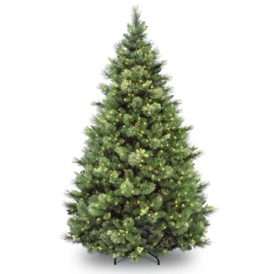 National Tree Company - National Tree 6 .5' Carolina Pine Tree with 650 Clear Lights