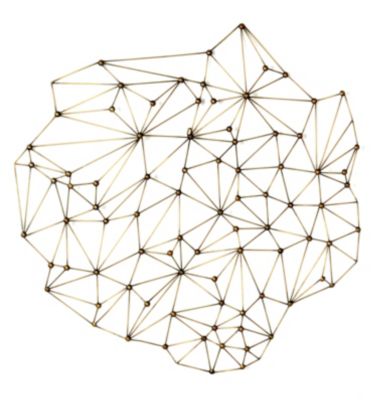 Moe's Home Collection Icosagon Wall Decor