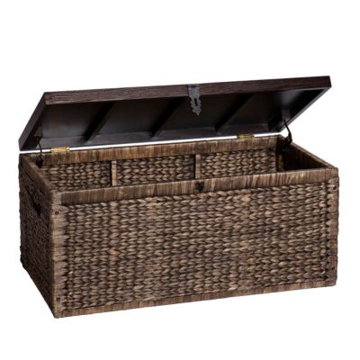 Water Hyacinth Storage Trunk