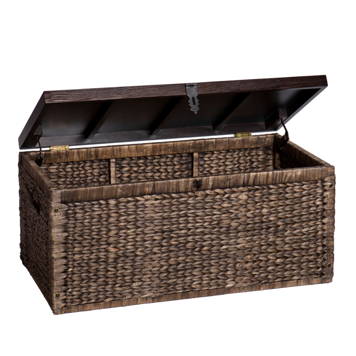 Water Hyacinth Storage Trunk