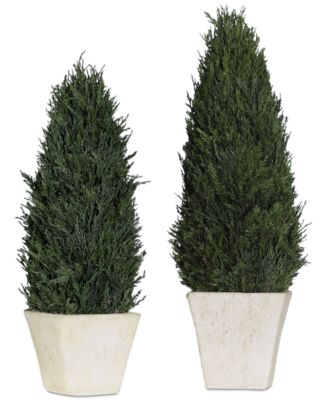 Uttermost Cypress Cone Topiaries Set of 2 - Macy's