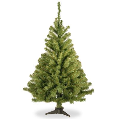 National Tree Company - National Tree 4' Kincaid Spruce Tree