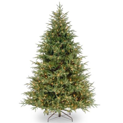 National Tree Company National Tree 6.5' Frasier Grande Tree with 550 Clear Lights
