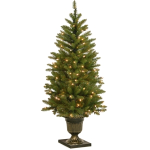 National Tree Company 4' Dunhill Fir Entrance Tree with 70 Clear Lights in Dark Bronze Pot