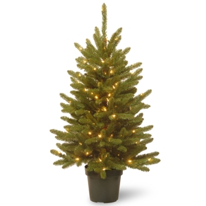 National Tree Company 4' Kensington in Green Growers Pot with 100 Clear Lights