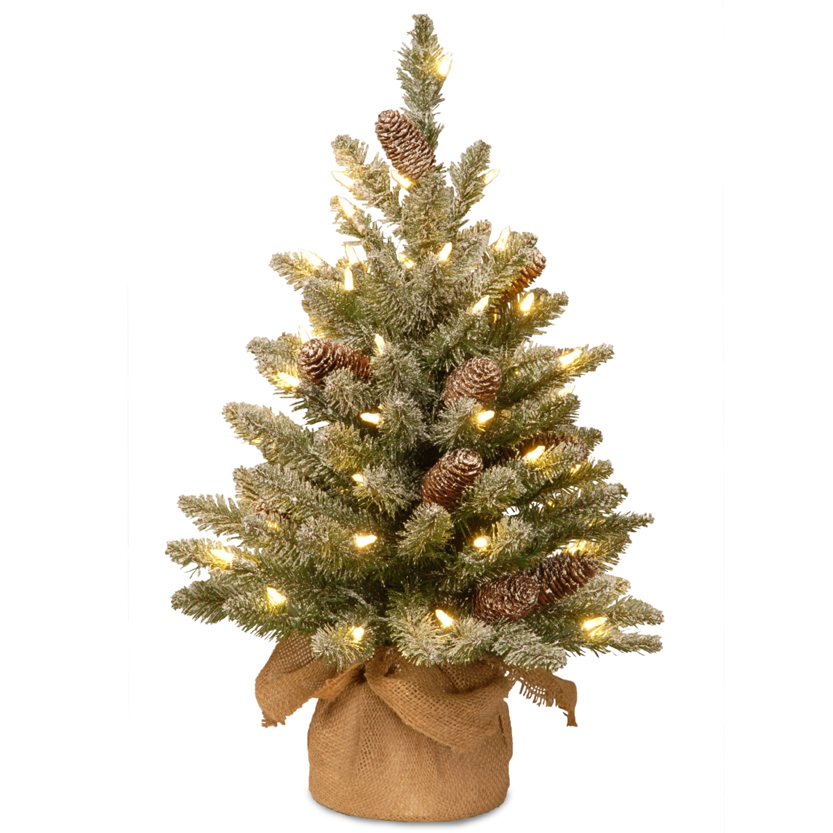National Tree Company Snowy Concolor Fir Small Tree in Burlap with Snowy Cones & 50 Warm White Battery Operated LEDs with Timer