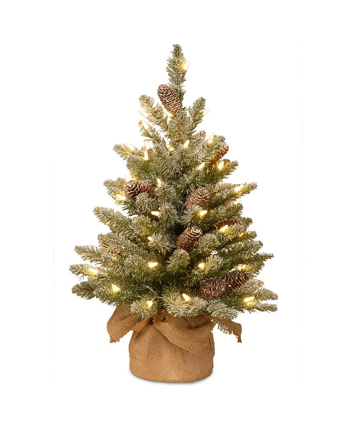 National Tree Company - 2' Snowy Concolor Fir Small Tree in Burlap with Snowy Cones & 50 Warm White Battery Operated LEDs with Timer