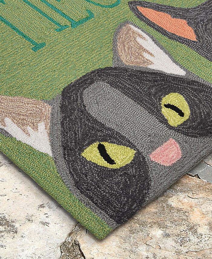 Liora Manne' Liora Manne Front Porch Indoor/Outdoor Meow Green 2' x 3 ...
