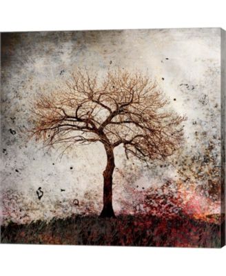 Cottonwood Tree Par9 By Lightboxjournal Canvas Art - Macy's