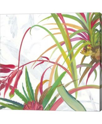 Tropical II By Asia Jensen Canvas Art - Macy's