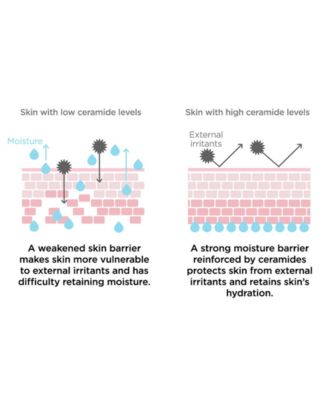 Wonder Ceramide Mocchi Toner, 17 oz.