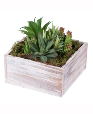 Vickerman 7 inch Succulent Arrangement In A Square White Woodland Planter