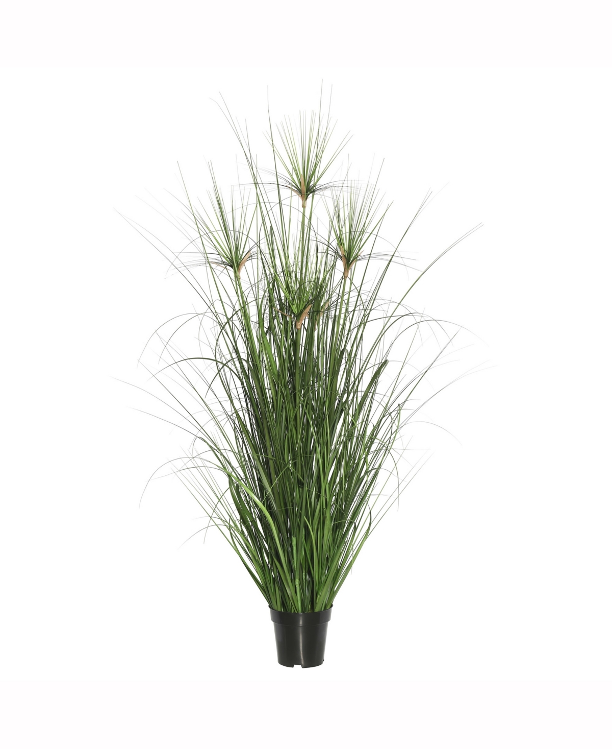 Vickerman 60" Artificial Potted Green Straight Grass X 366, Features 12 Brown Cattails In No Color