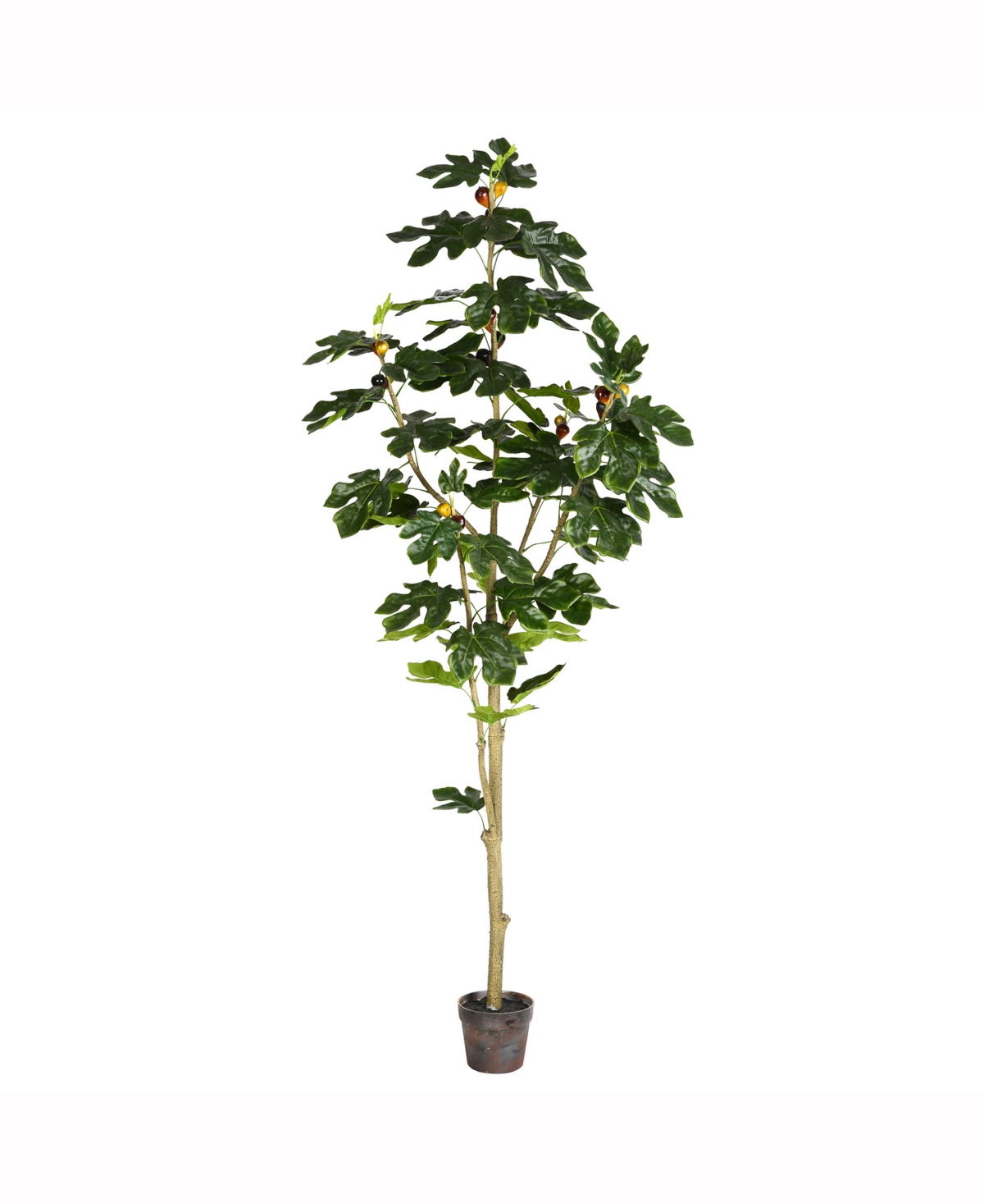 Vickerman 6' Artificial Potted Fig Tree With 71 Leaves In No Color